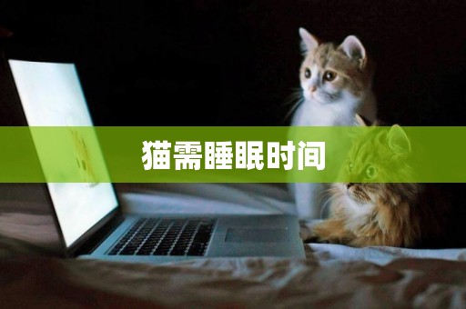 猫需睡眠时间